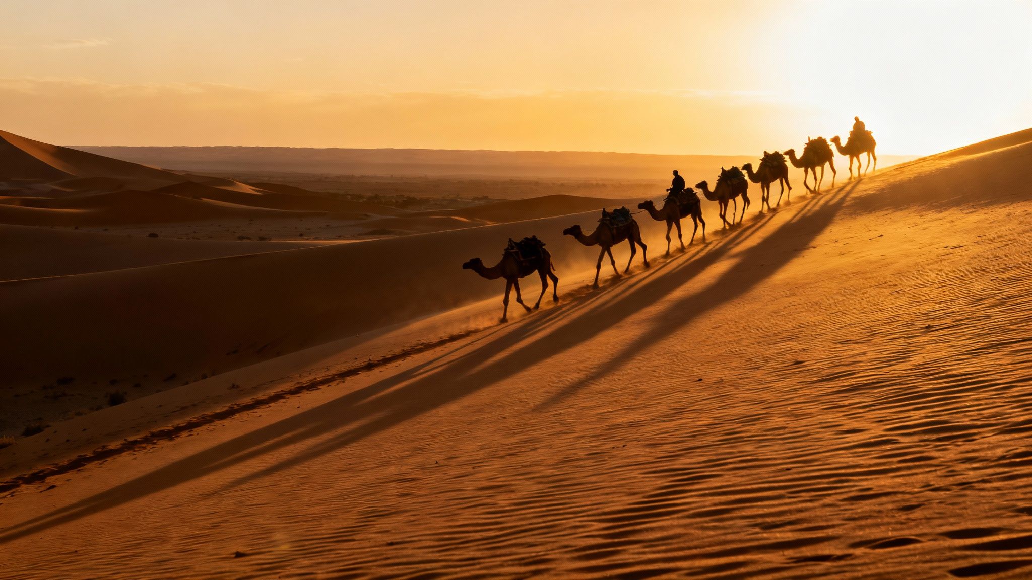 Vue panoramique des dunes de l'Erg Chebbi au Maroc