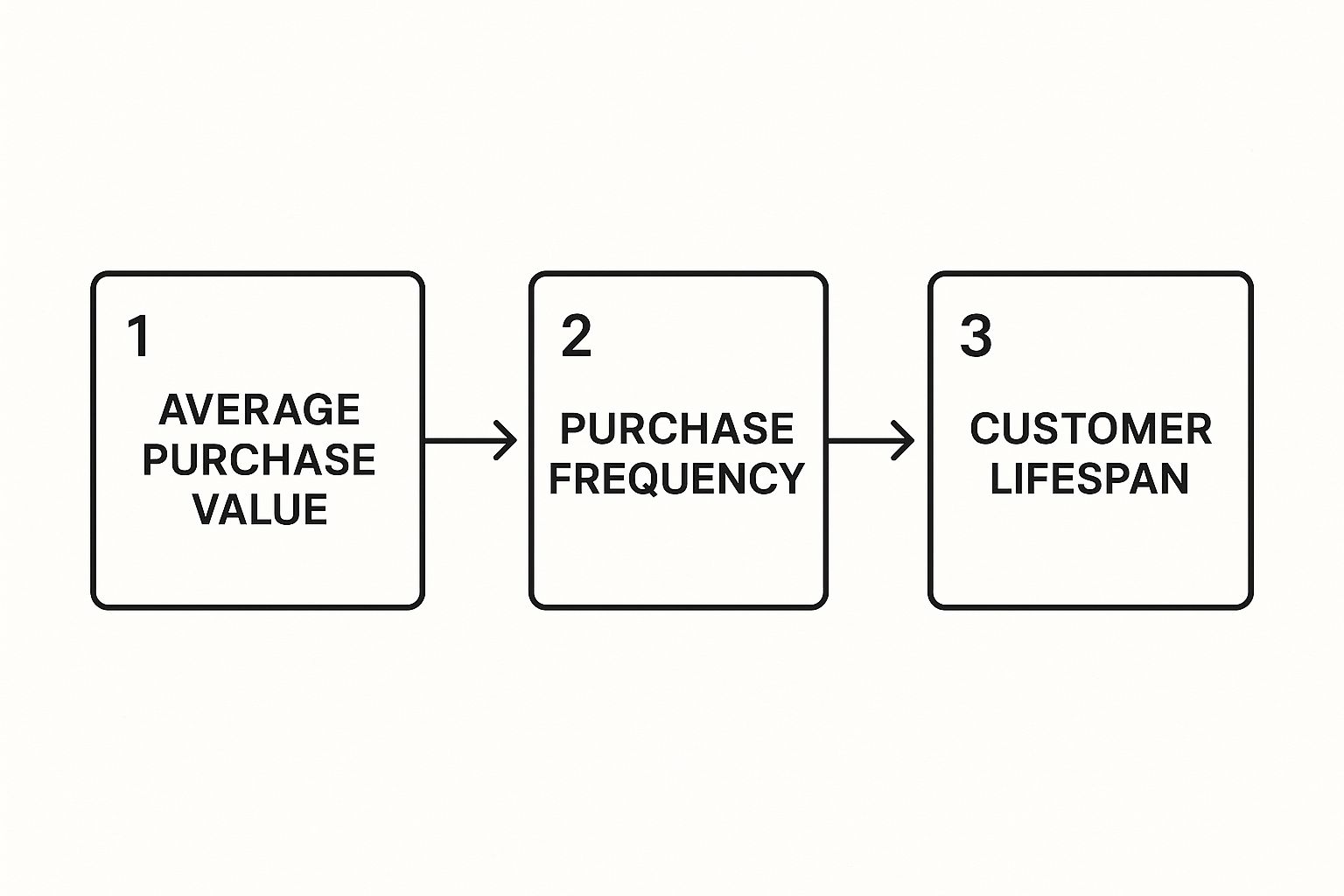 Infographic about calculate customer lifetime value