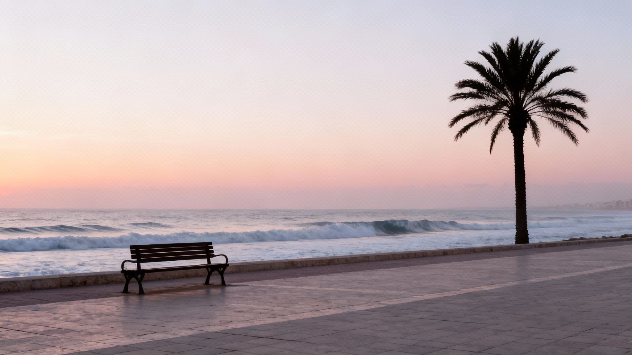 Lever de soleil pastel sur la mer, avec une silhouette de palmier et un banc sur la promenade.