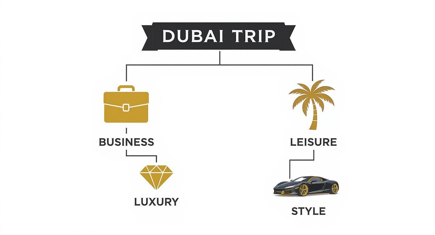 Infographic about mercedes for rent