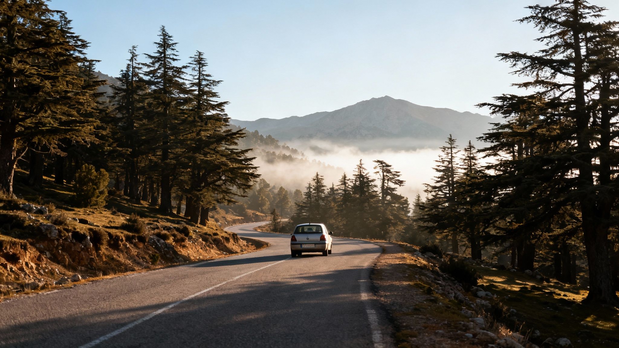 Voiture sur une route sinueuse traversant une forêt de conifères avec des montagnes brumeuses en arrière-plan.
