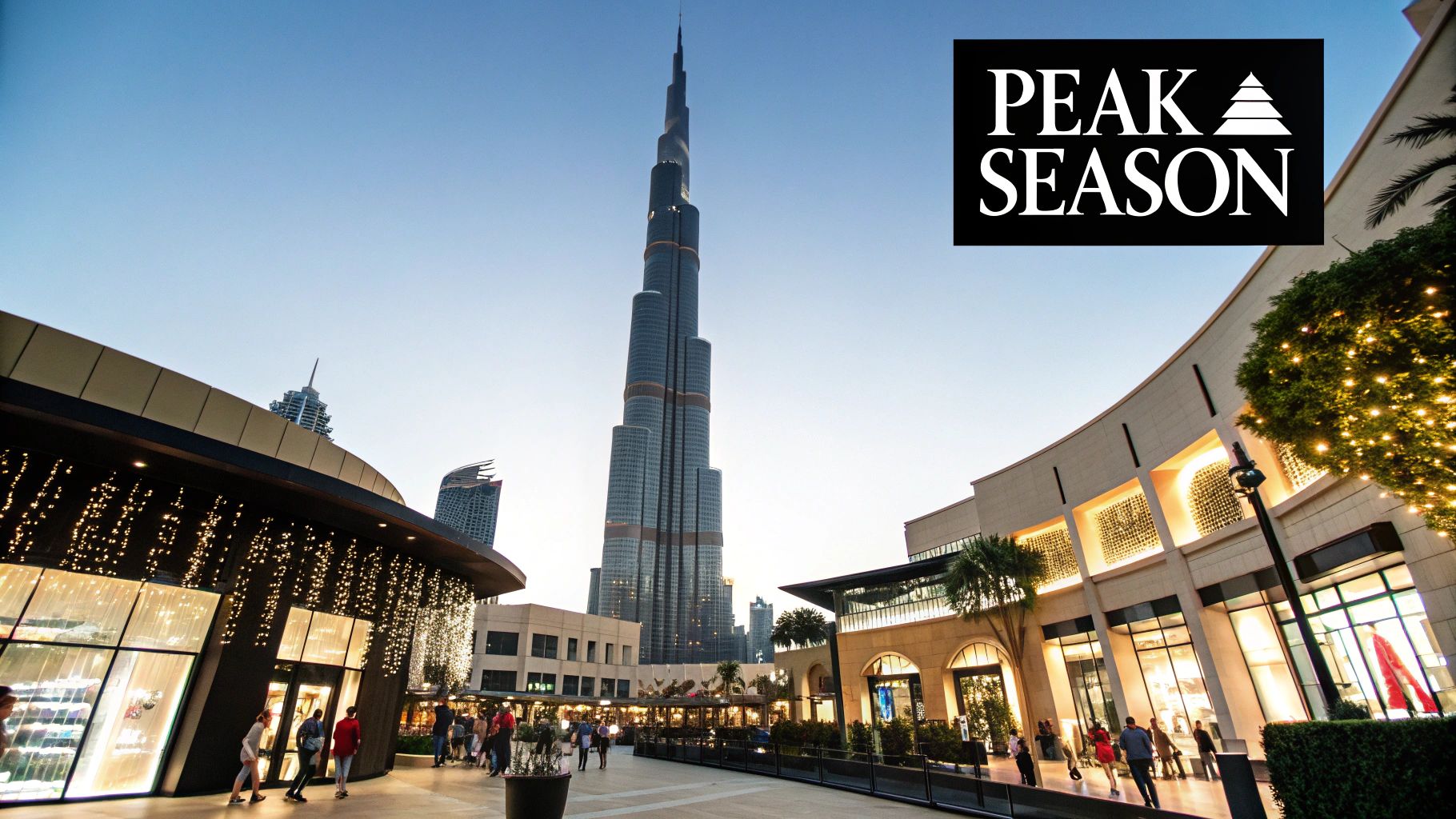 December - Peak Season Premium Experience