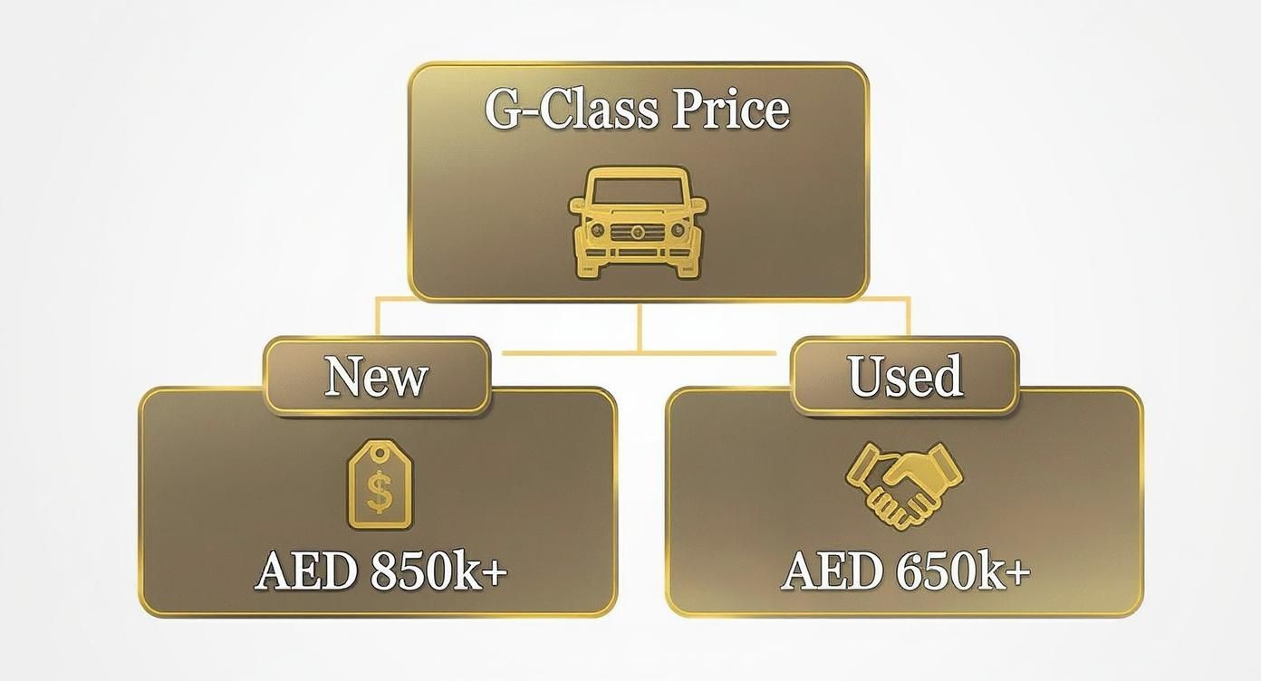 Infographic about benz g class price in uae