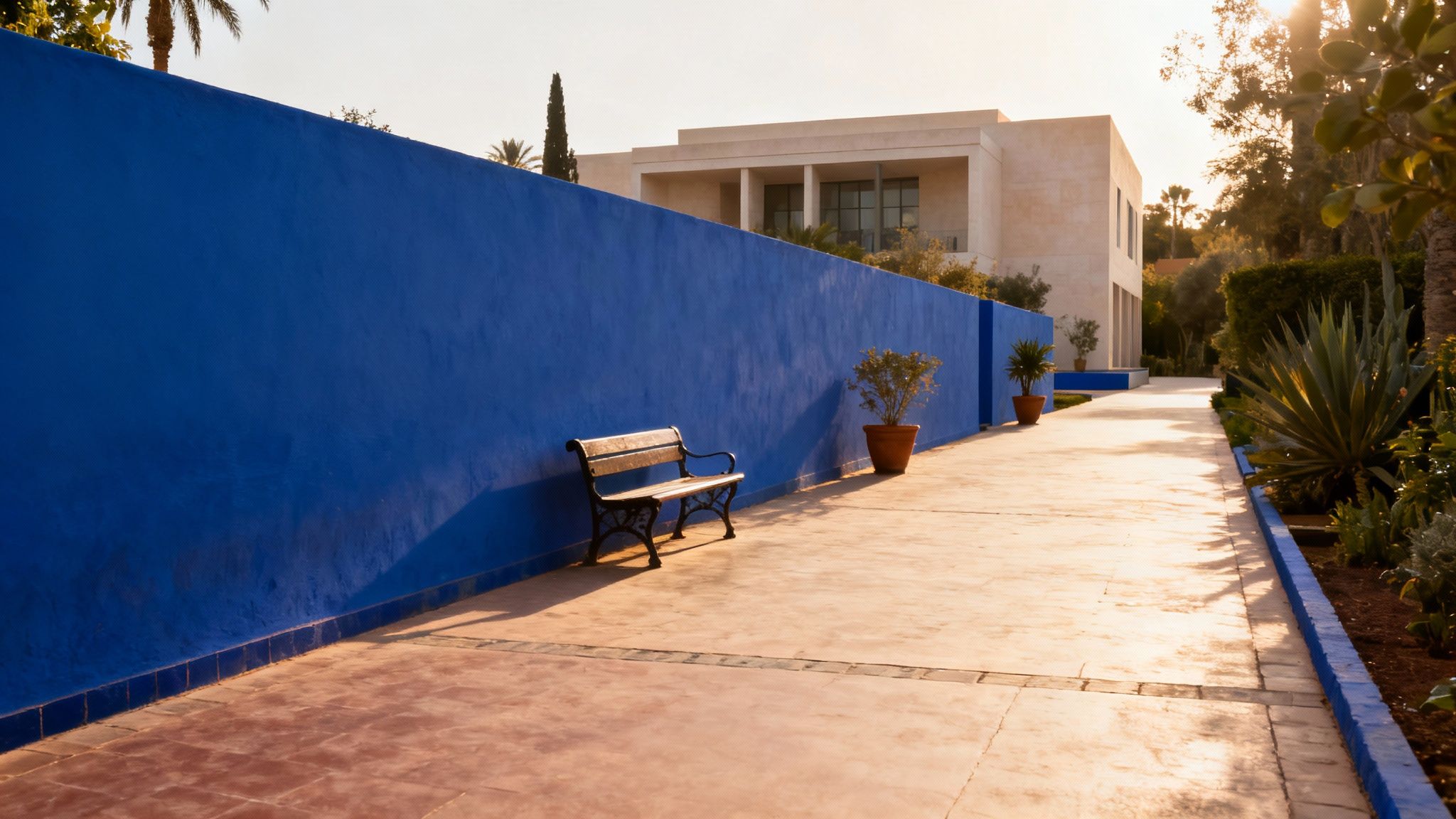 Une allée bordée de bambous et de plantes luxuriantes dans le Jardin Majorelle