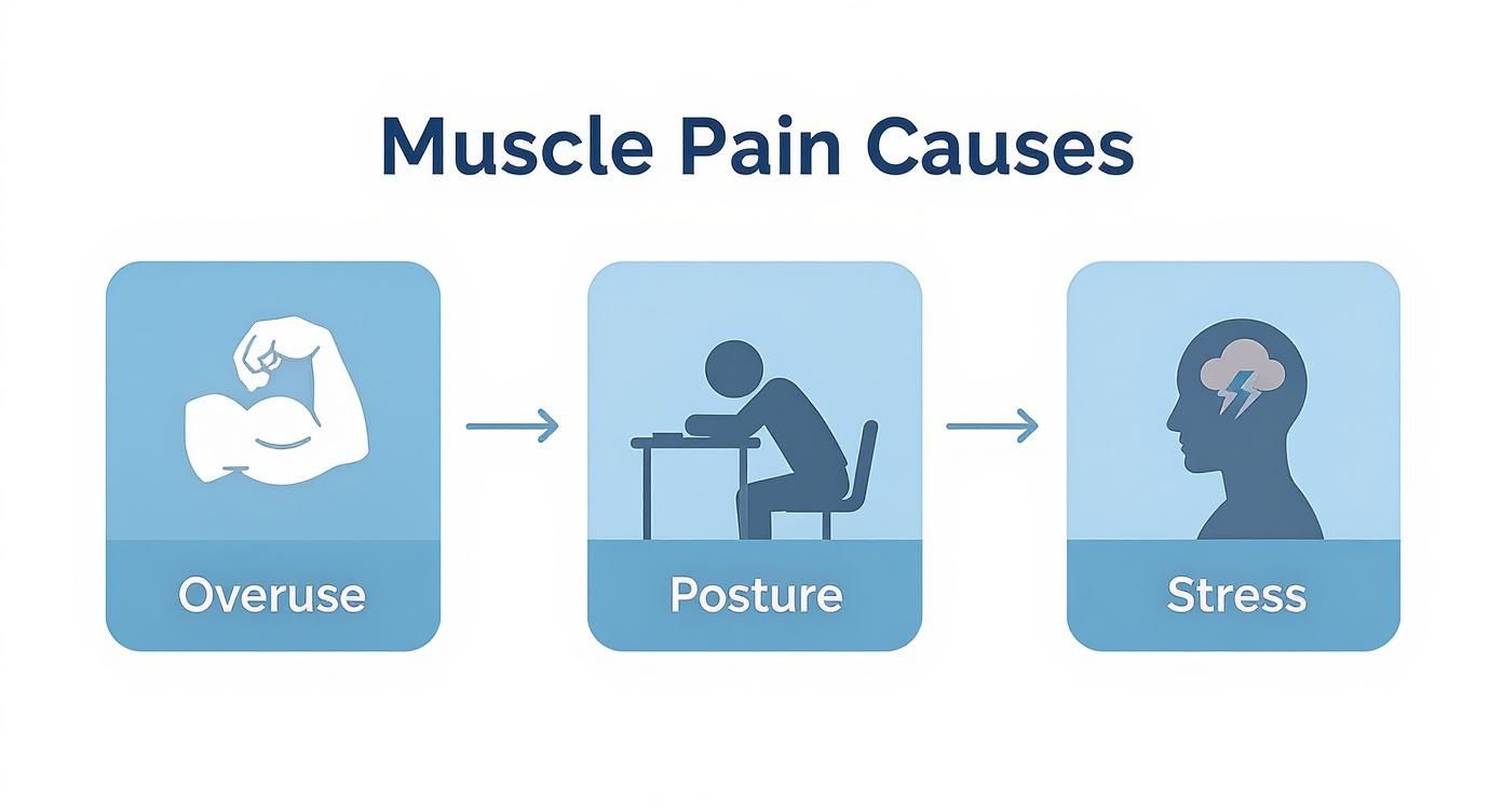 Infographic about how to relieve muscle pain