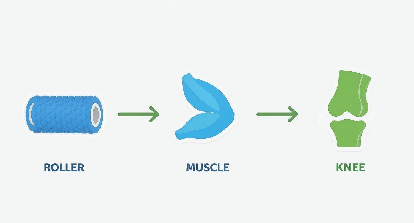 Infographic about foam rolling for knee pain
