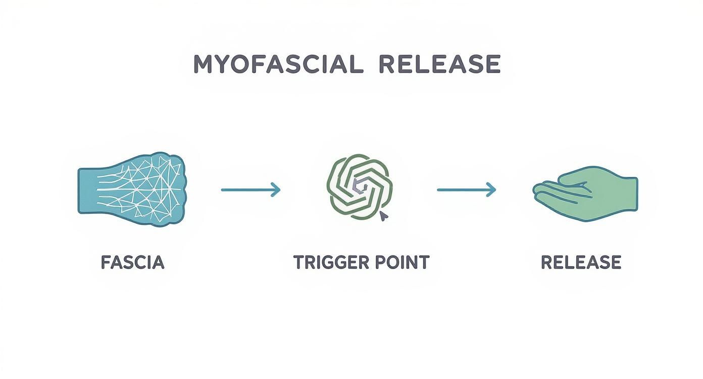 Infographic about what is myofascial release therapy