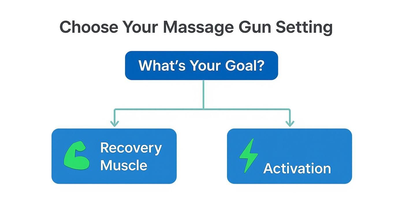 Infographic decision tree explaining whether to use a massage gun for recovery or activation.