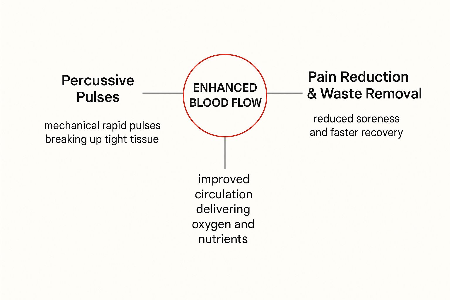 Infographic about what does a massage gun do, showing the connection between percussive pulses, enhanced blood flow, and pain reduction.