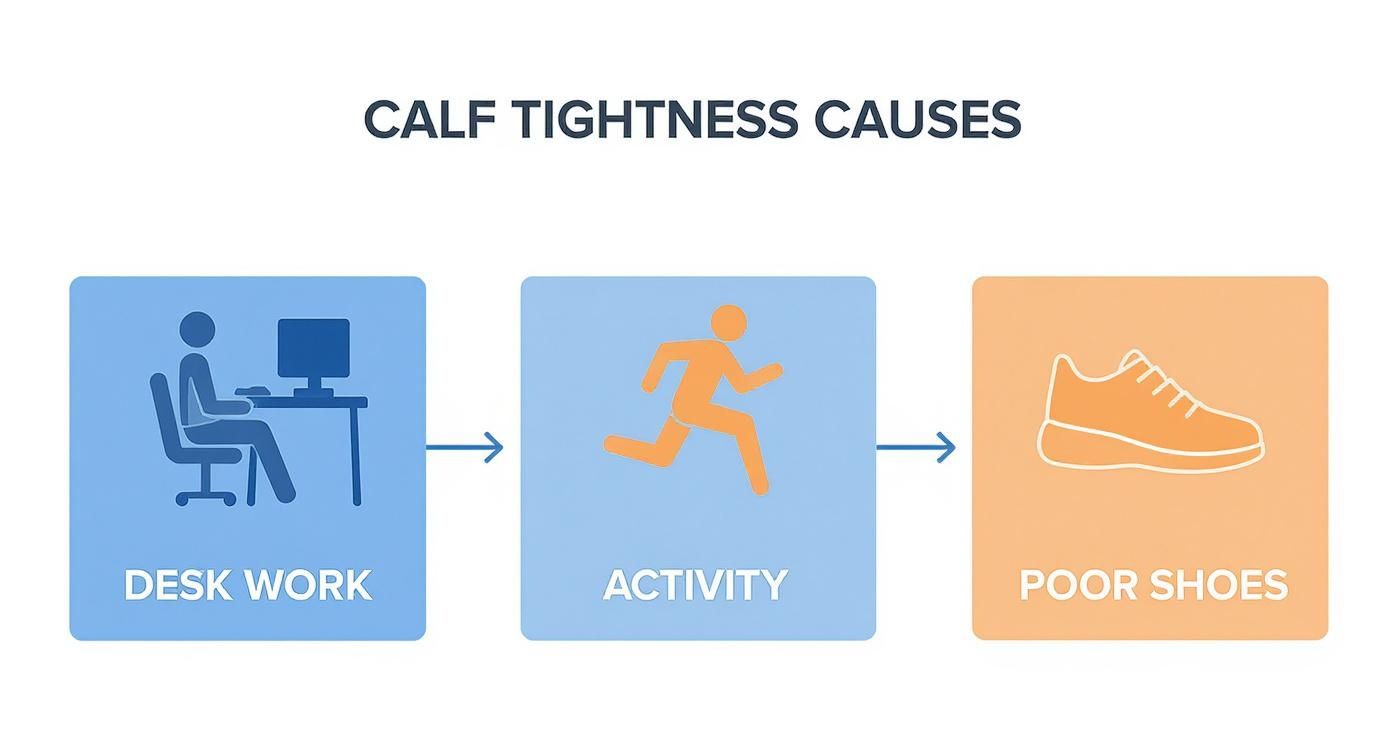Infographic showing the causes of tight calf muscles, including desk work, physical activity, and poor footwear.