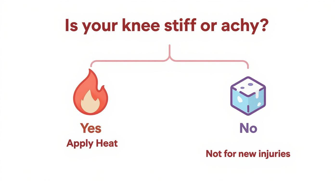 Infographic decision tree asking if a knee is stiff or achy to determine if heat for knee pain is appropriate.