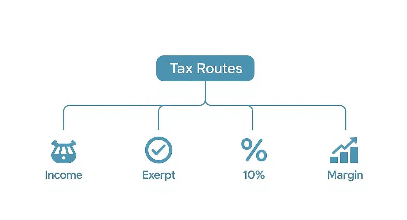 Infographic about מיסוי על השכרת דירה