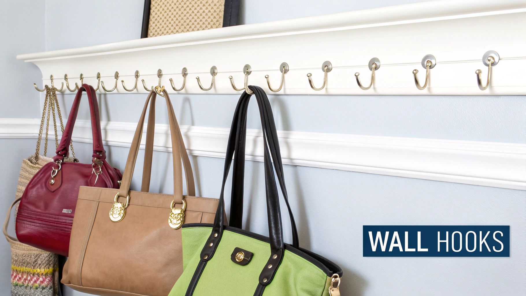Wall-Mounted Hook and Rail Systems