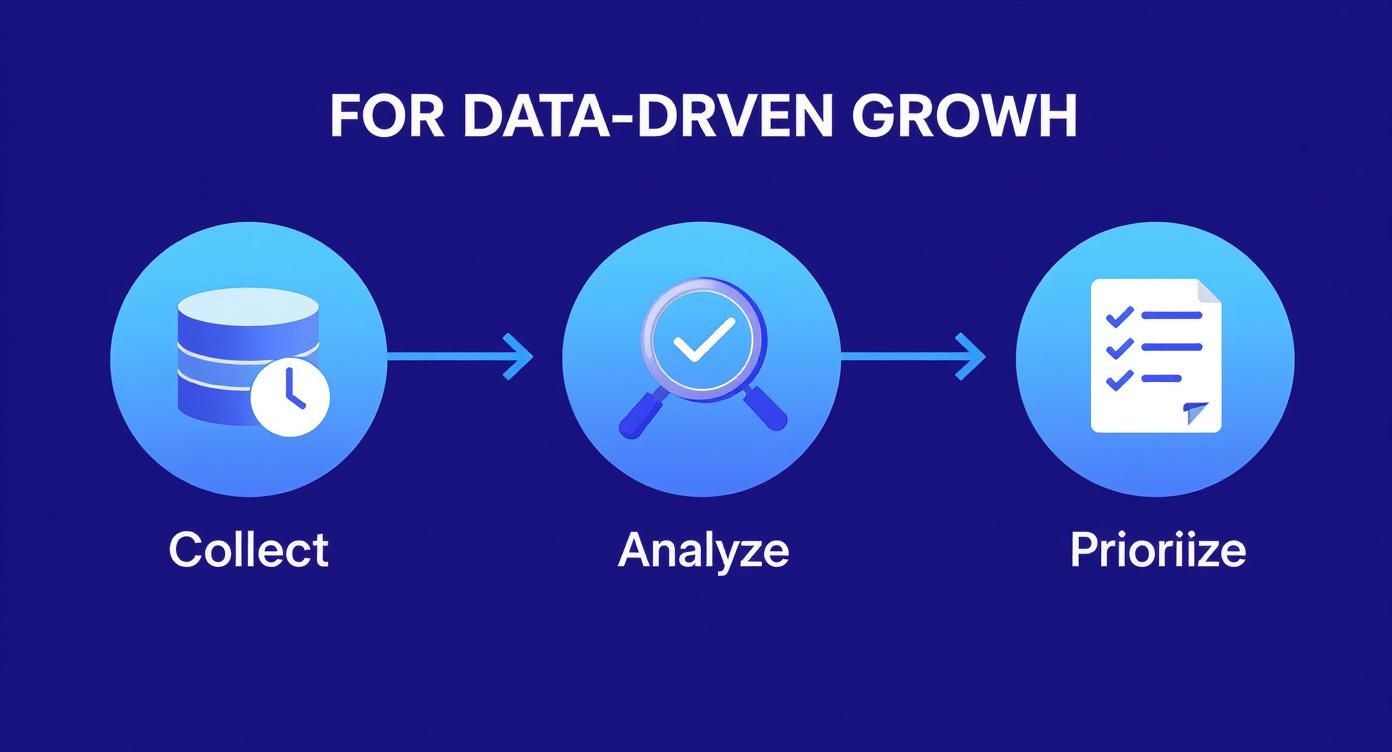 Infografik zum datengesteuerten Wachstum: Daten sammeln, analysieren und priorisieren.