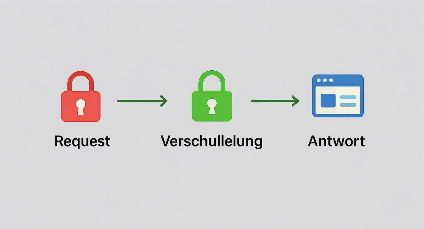 Eine Grafik visualisiert den Prozess einer sicheren Datenübertragung: Anfrage (rotes Schloss), Verschlüsselung (grünes Schloss) und Antwort (Browserfenster).