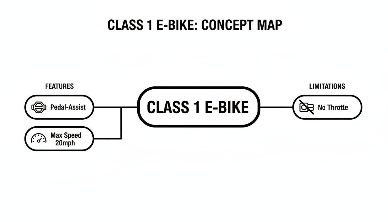 A concept map illustrating Class 1 E-bike features: pedal-assist, 20mph max speed, and no throttle limitation.