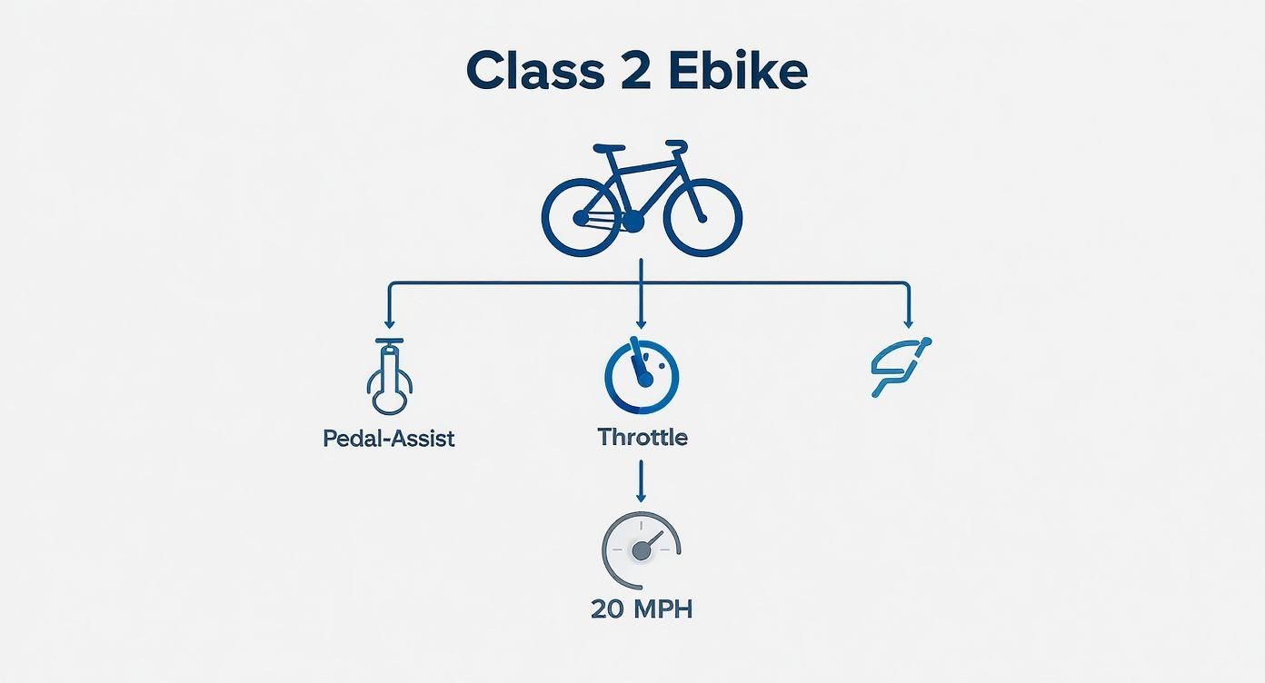 Infographic about class 2 ebike
