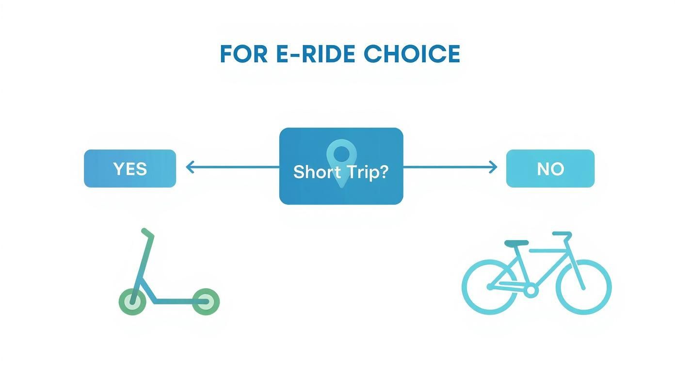 Infographic about e scooter vs ebike