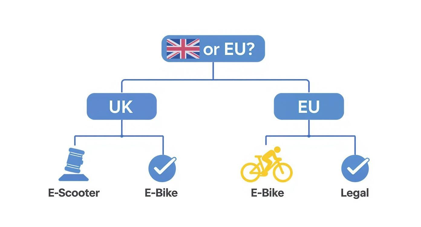 Infographic about electric scooter vs electric bike