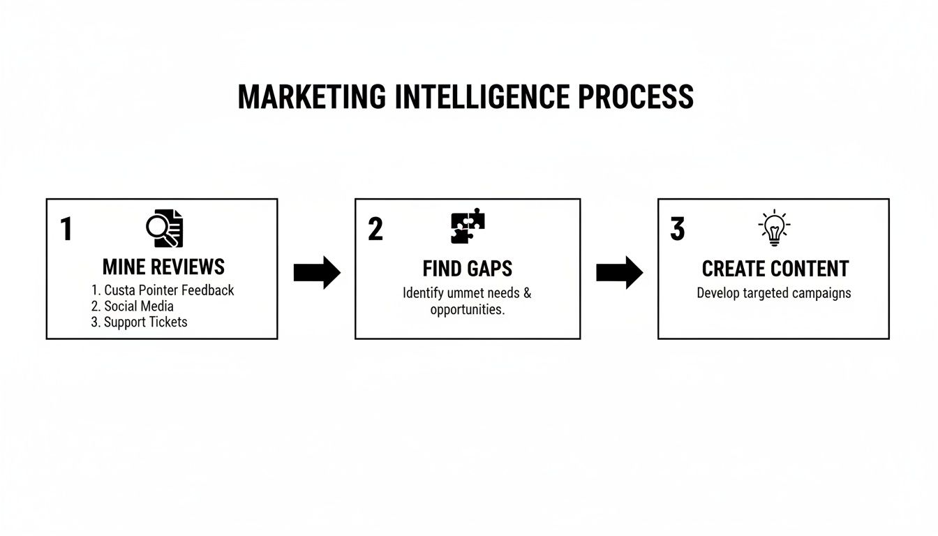 A marketing intelligence process diagram showing three steps: Mine Reviews, Find Gaps, and Create Content.