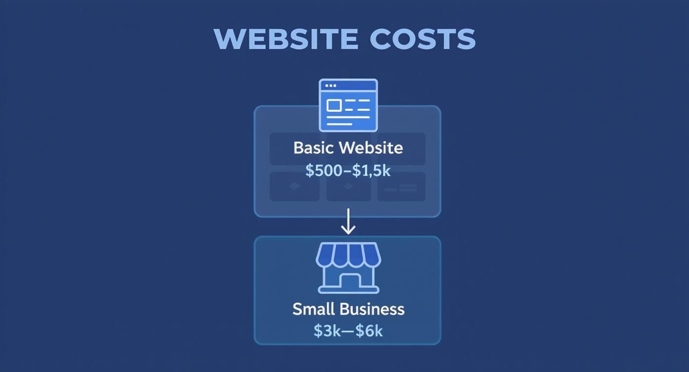 Infographic about affordable website design auckland