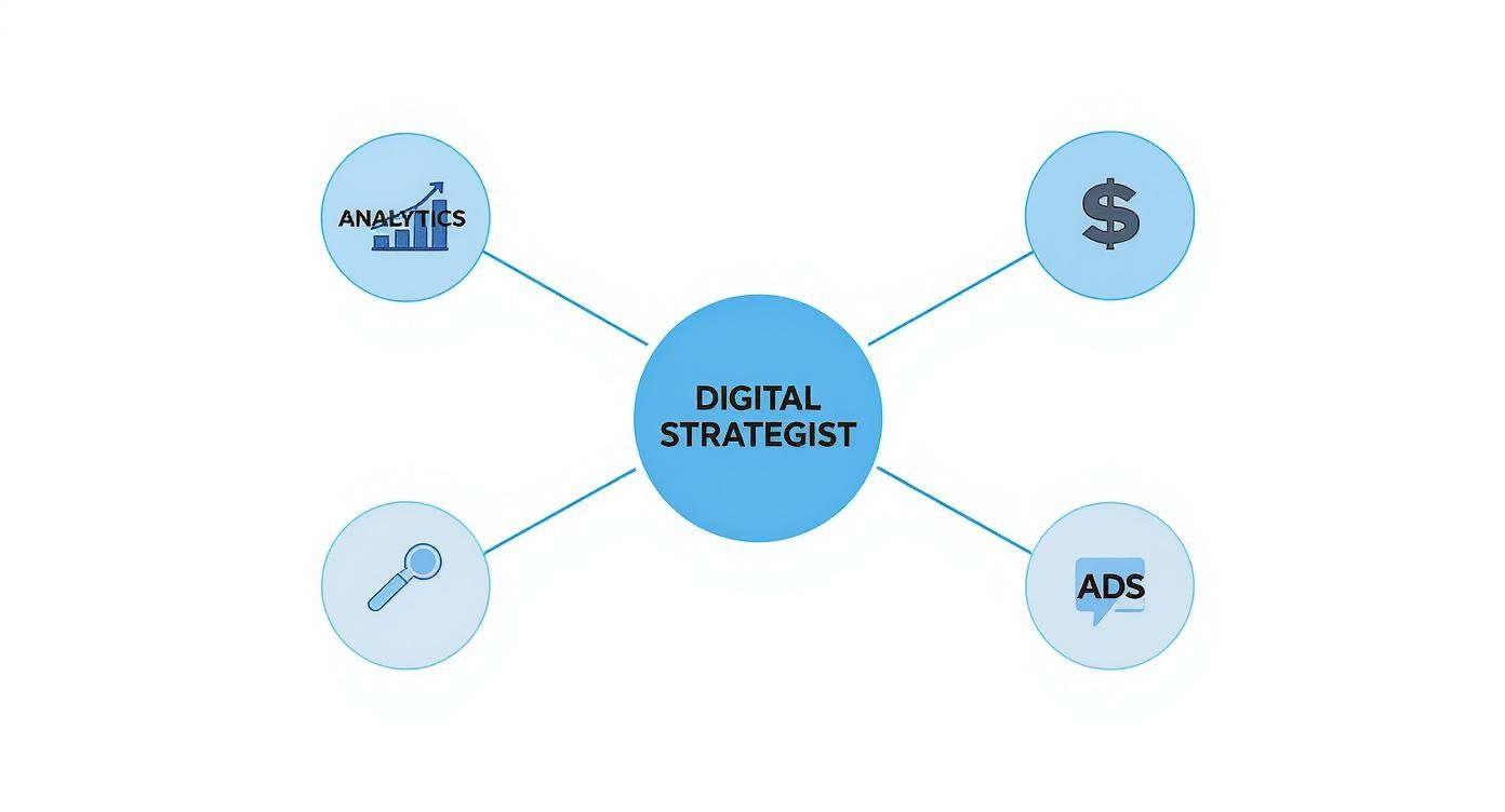 Infographic about digital marketing strategist