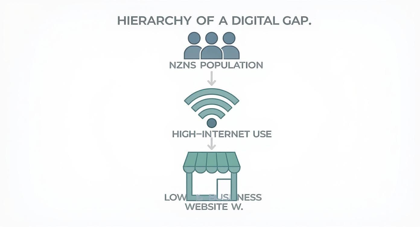 Infographic about website design wellington