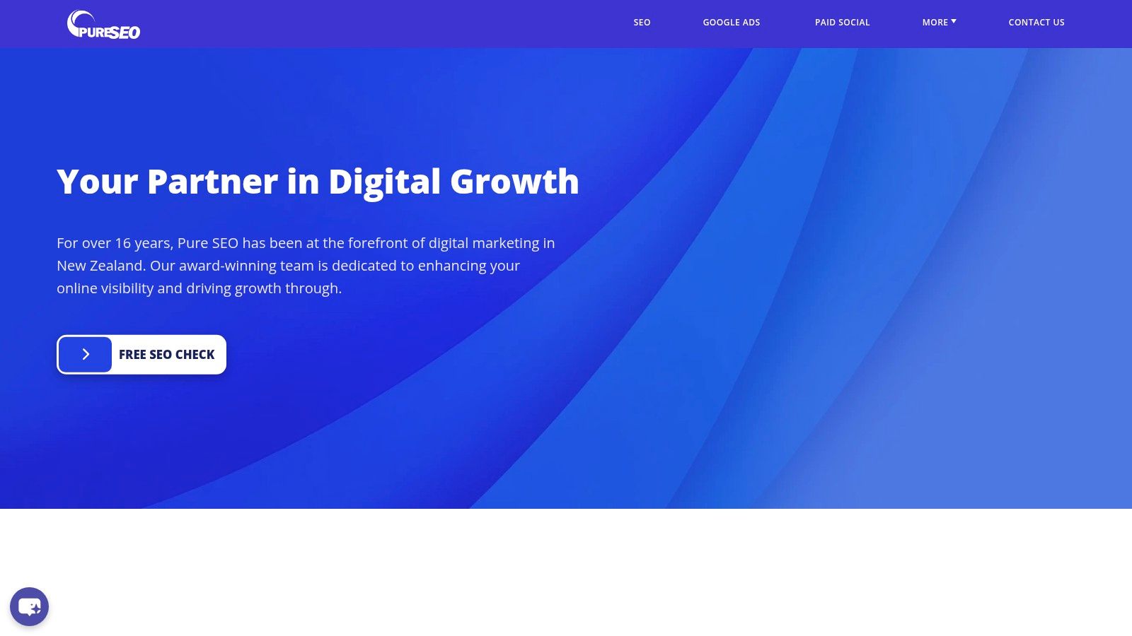 Pure SEO (NZ) homepage showing their services and Google Premier Partner status