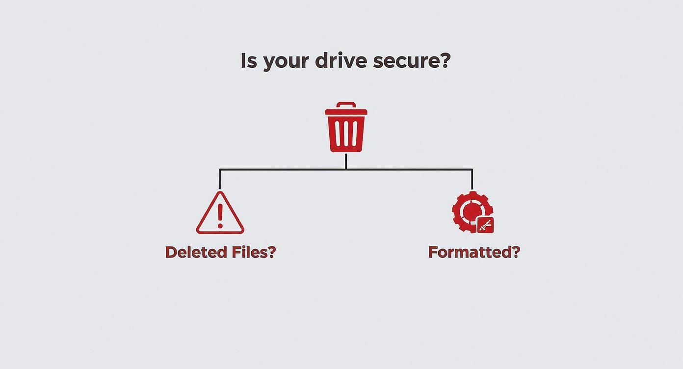 Secure Hard Drive Destruction: A Guide for U.S. Businesses