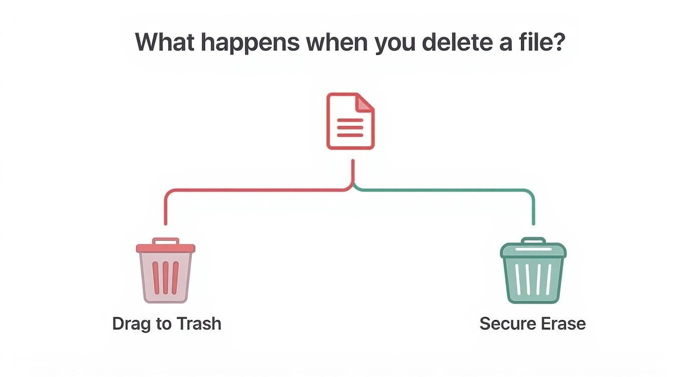 How to erase hard drives: Quick, secure data wipe, Green Atlanta 404-666-4633 Commercial Services 