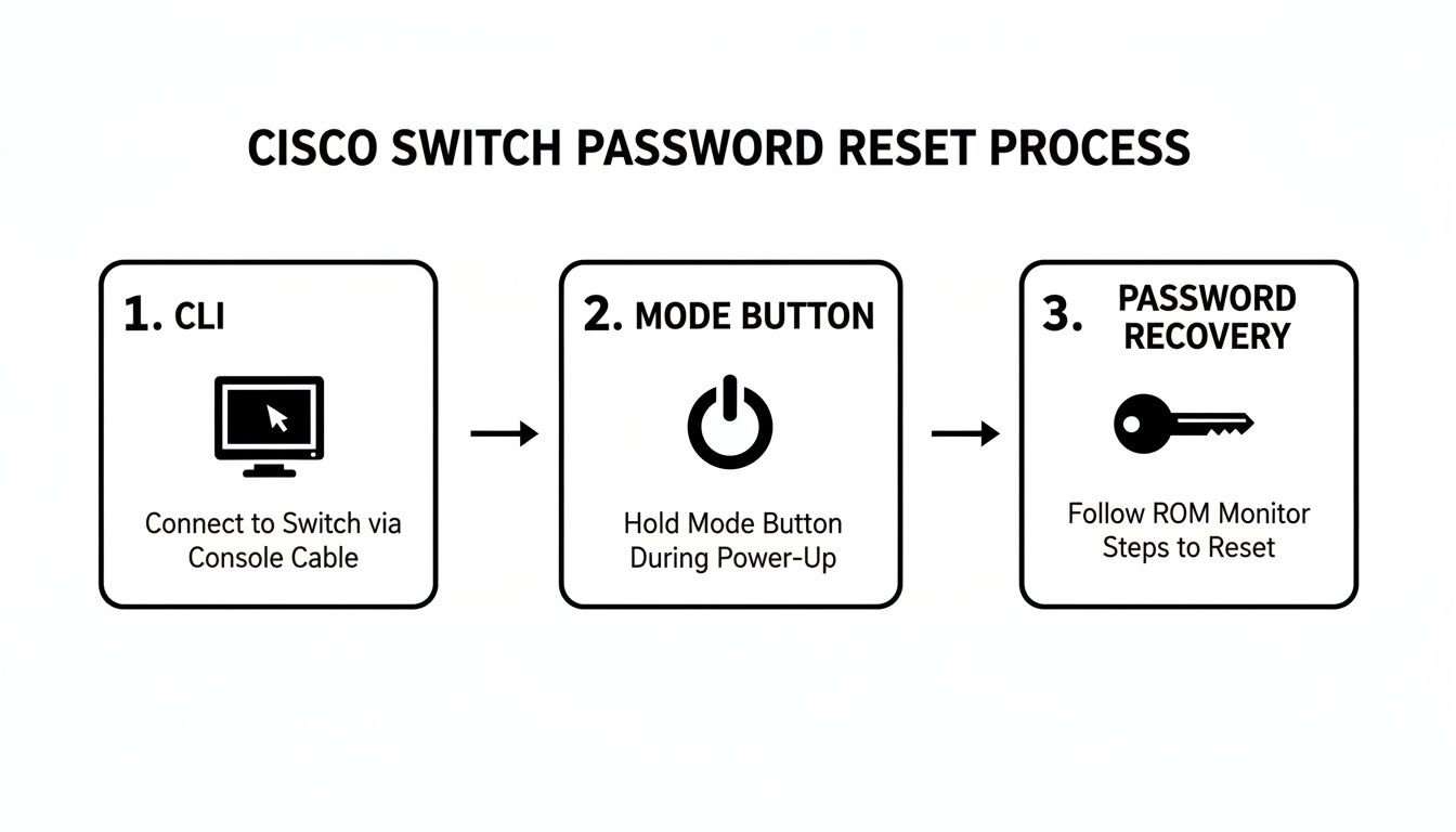 How to Reset a Cisco Switch: A Guide to Factory Resets and Password Recovery