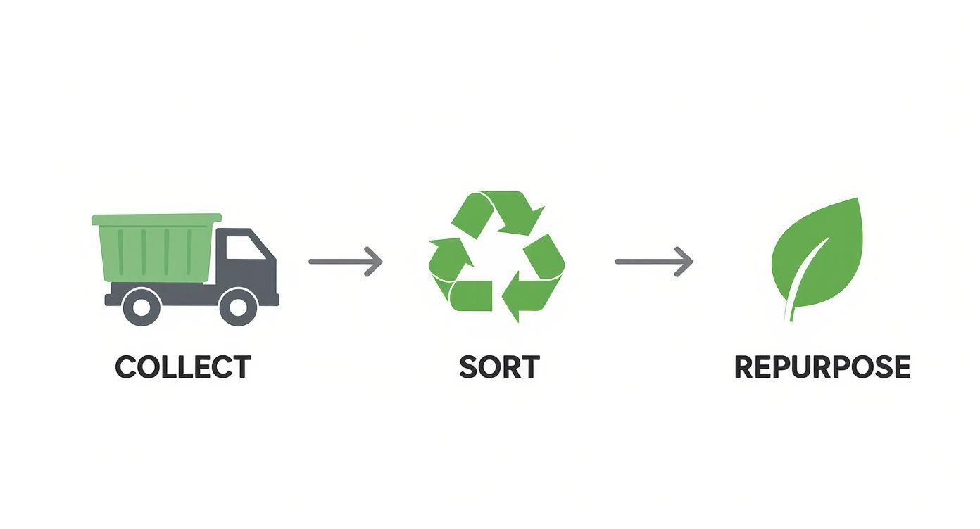 Infographic about yard waste pickup