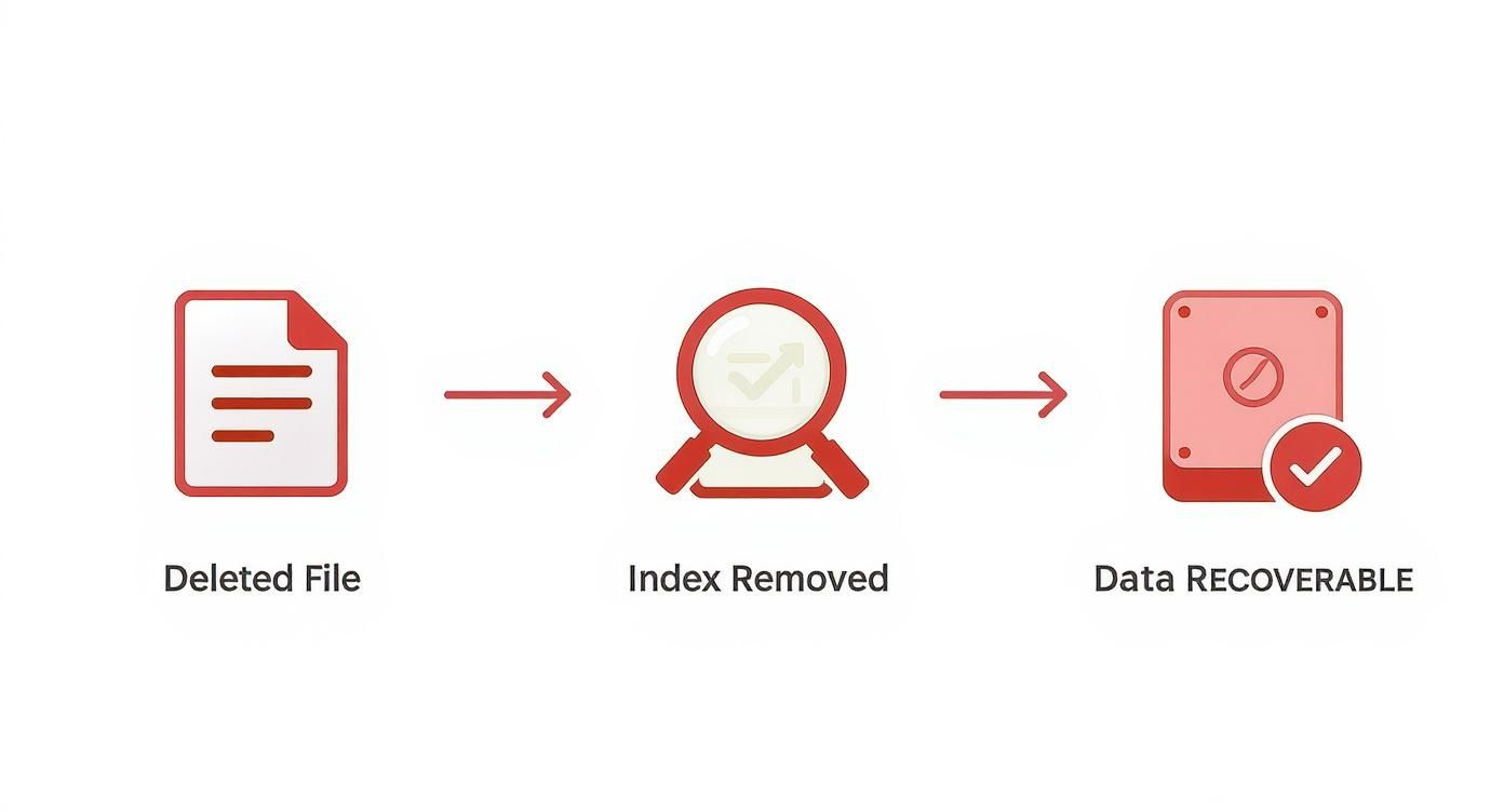 Infographic showing that deleting a file only removes the index, leaving the actual data on the hard drive and recoverable.