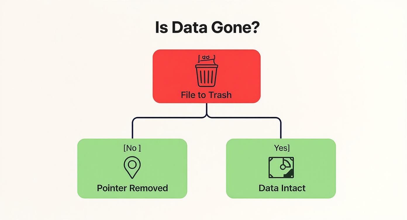 How to Wipe Hard Drive: Securely, Completely, and with Purpose, Green Atlanta 404-666-4633 Commercial Services 