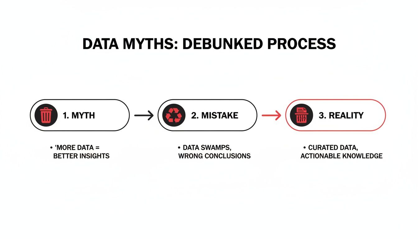 Process diagram illustrating data myths debunked, moving from the myth to curated, actionable knowledge.