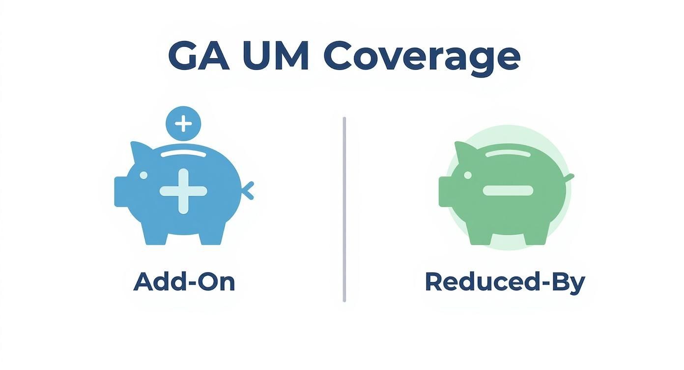 Infographic about ga uninsured motorist coverage