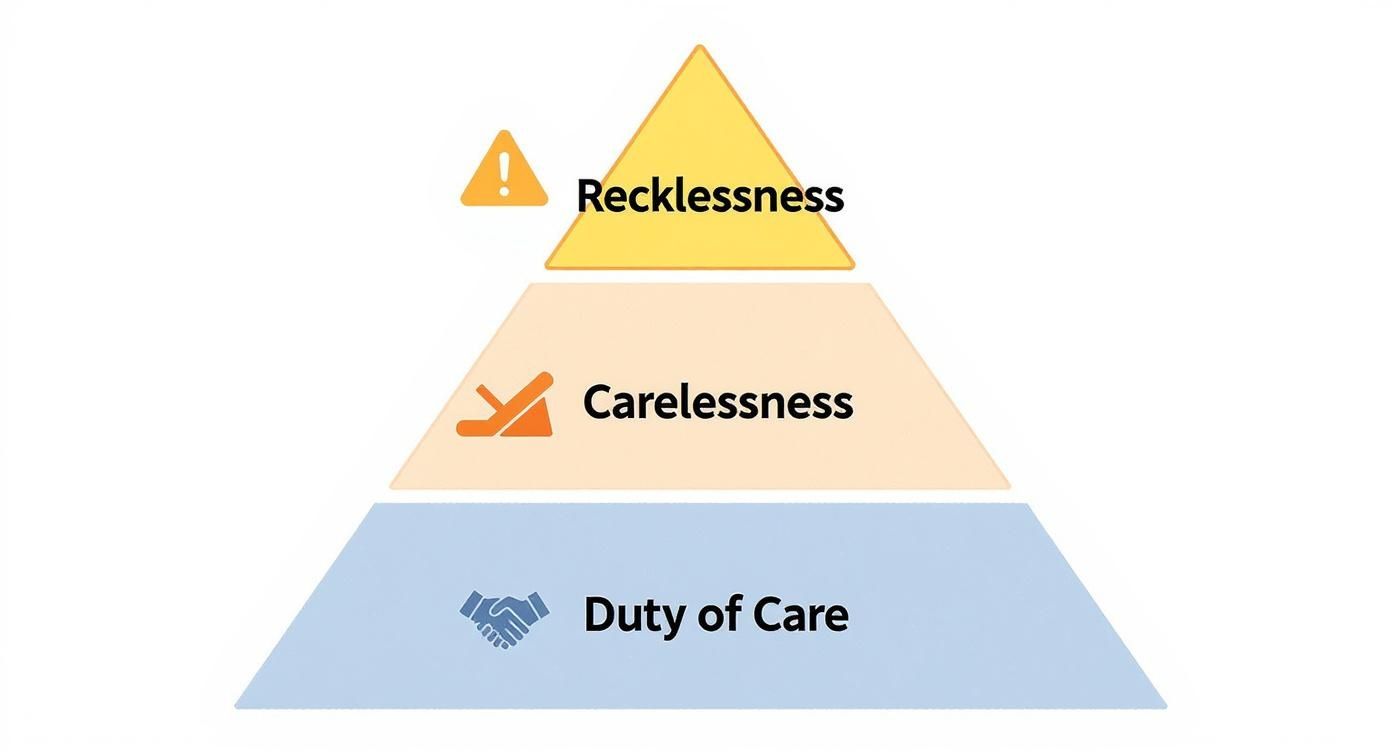 Infographic about kinds of negligence