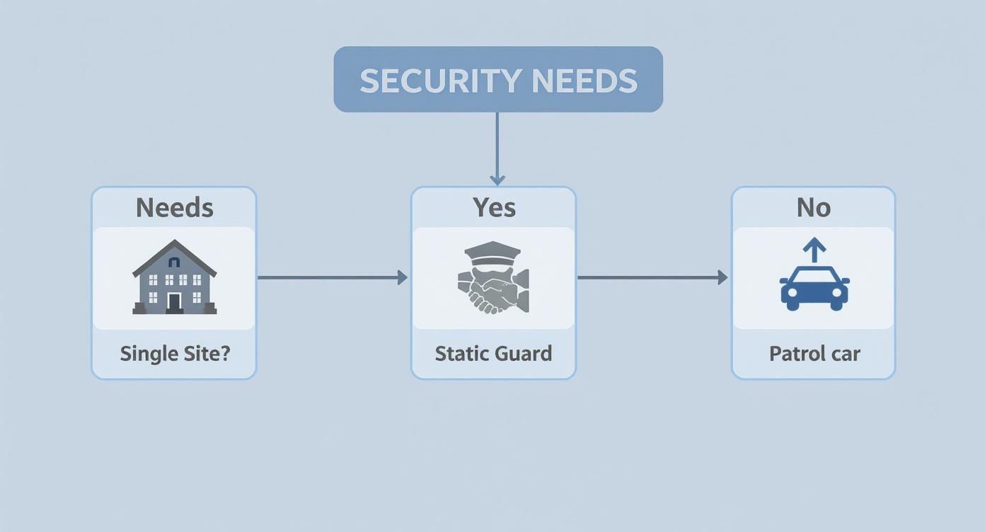 Infographic decision tree asking if security is needed for a single site or multiple sites.