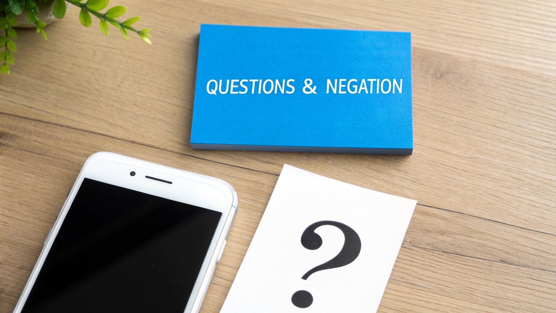 A person holding a question mark sign, with 'do', 'does', and 'did' floating around it.