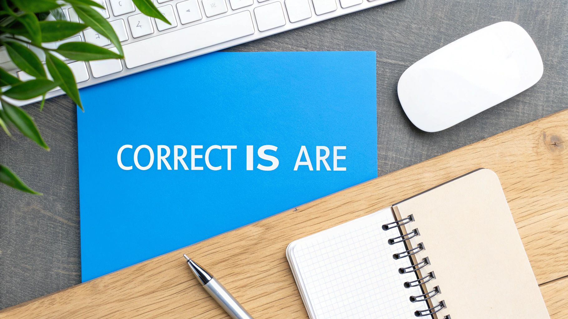 A person editing text on a laptop, illustrating fixing grammar mistakes.