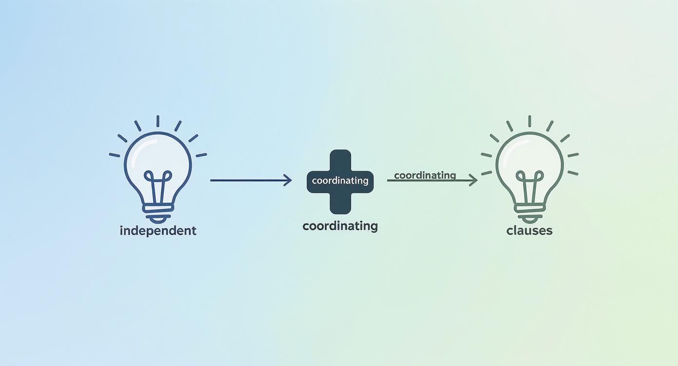 Diagram depicting independent clauses joined by a coordinating element, resulting in coordinating clauses.