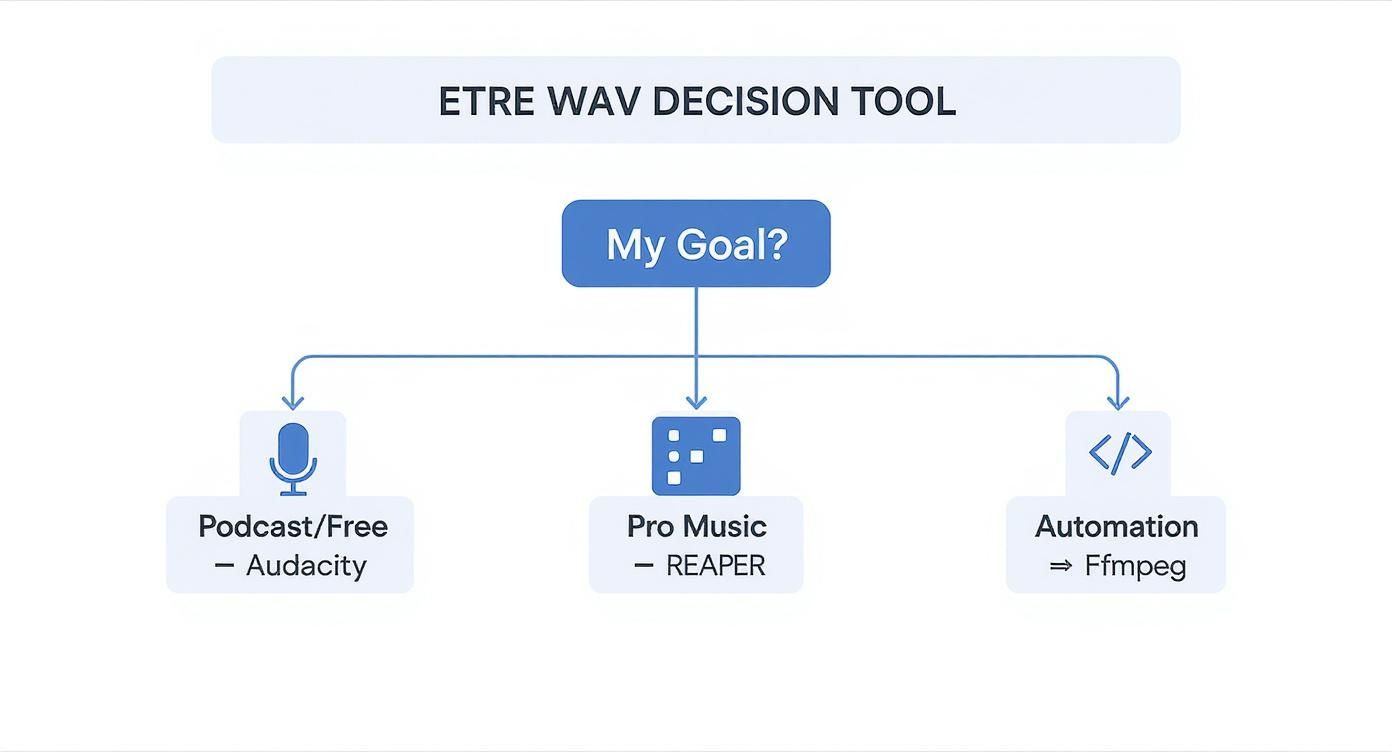 Infographic about edit wav files
