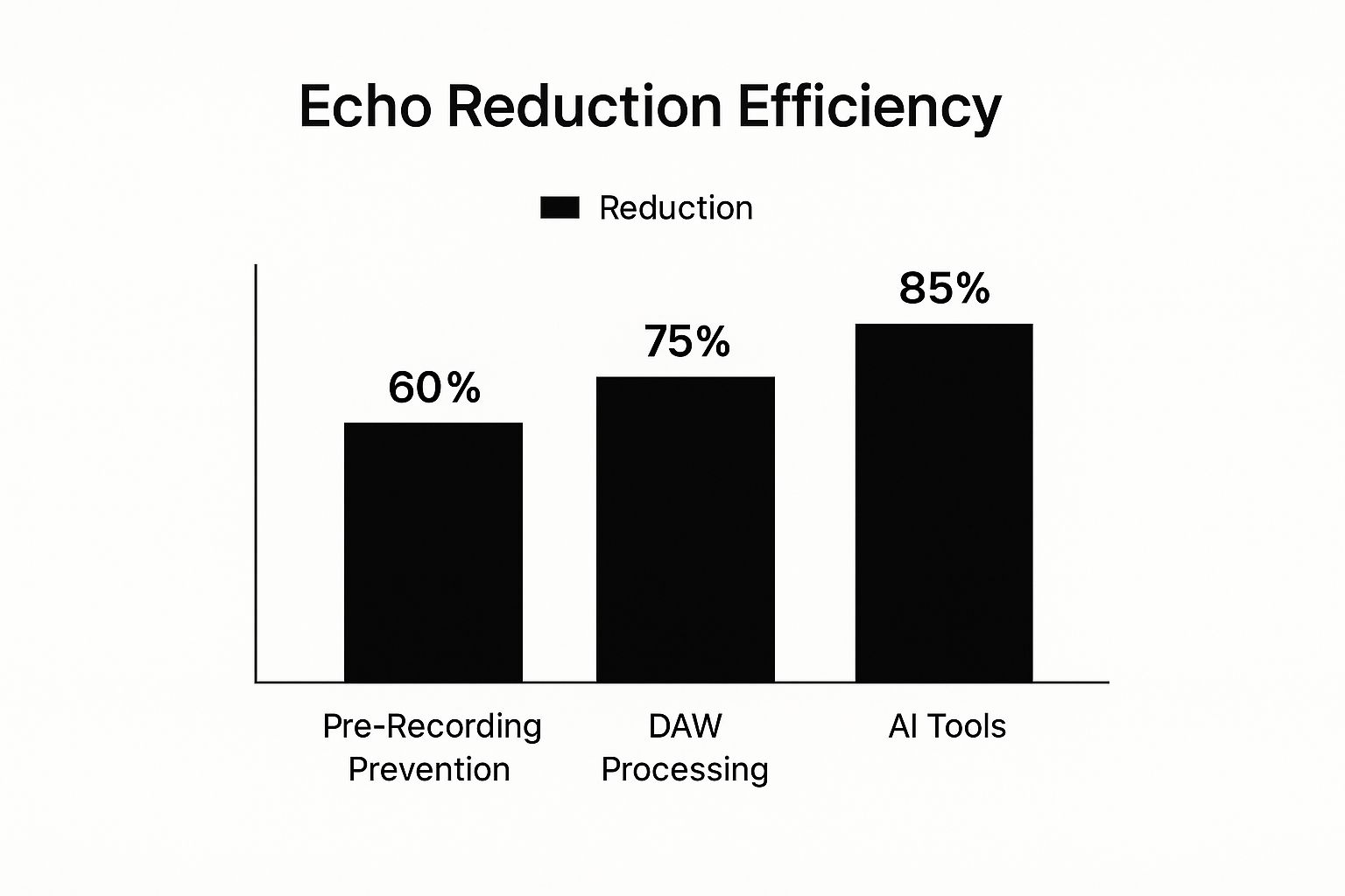 Infographic about removing echo from audio