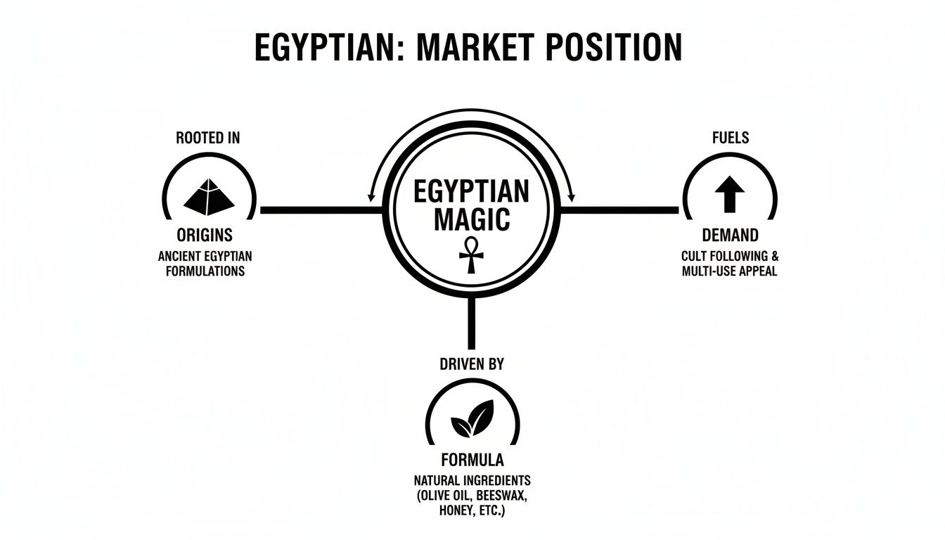Diagram illustrating Egyptian Magic's market position, detailing its ancient origins, natural formula, and high demand.