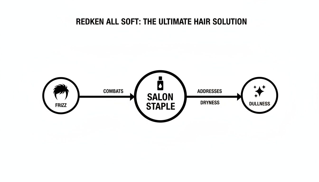 Diagram illustrating Redken All Soft as a salon staple that combats frizz and addresses dryness and dullness.