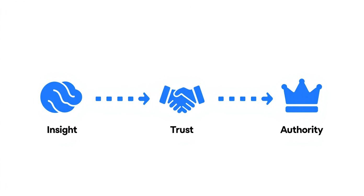 Blue icons and arrows illustrating the progression from Insight to Trust and then to Authority.