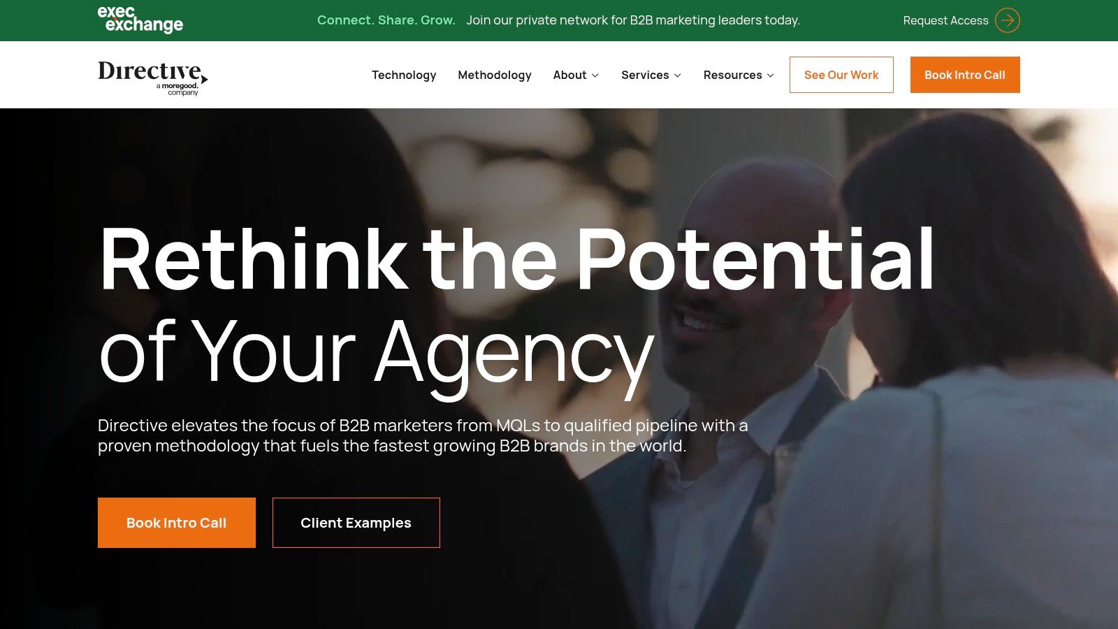 Directive (Directive Consulting)