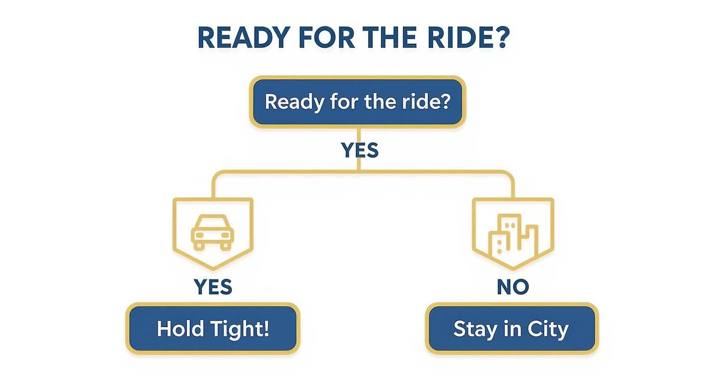 A flowchart asking 'Ready for the ride?' leading to 'Hold Tight!' (car) or 'Stay in City' (buildings).