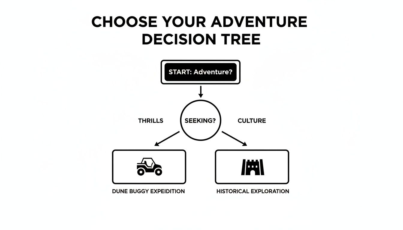 A decision tree for choosing an adventure: Thrills lead to dune buggy, culture to historical exploration.