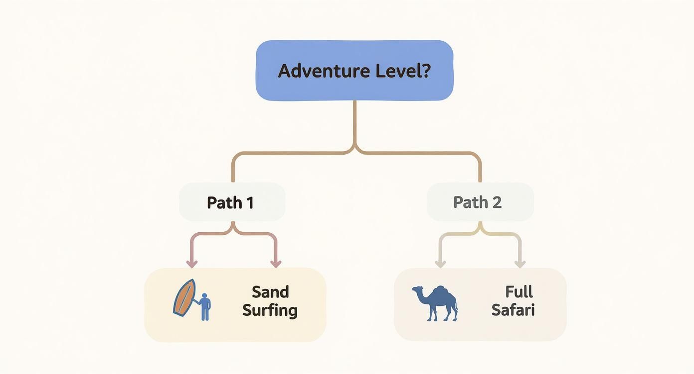 A flowchart displaying adventure levels, with options for sand surfing or a full safari adventure.